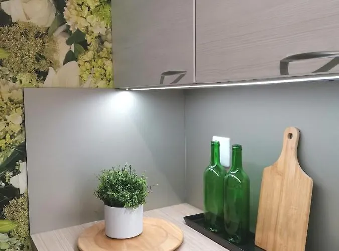 公寓 Tuurin Kukkis